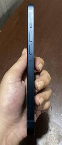 IP 13 pro pta approved