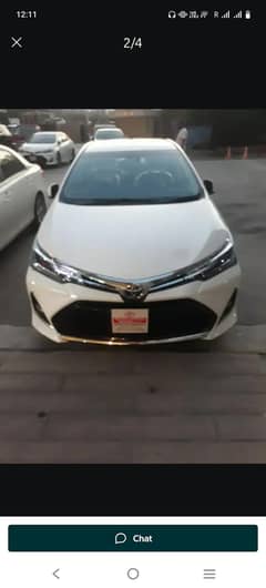 Altis grande