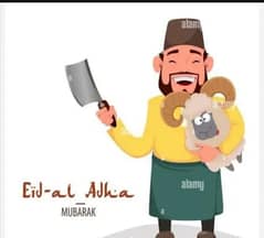 ProfessionaL Butcher AvaiLabLe