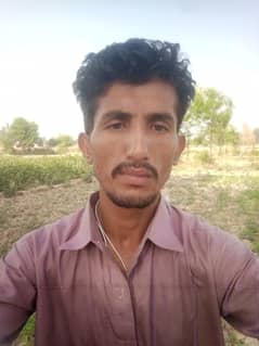 mojhy