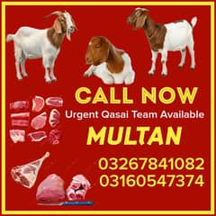 Qasai Team Available Multan Call Now