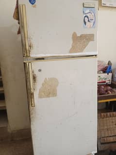 Refrigerator Philips For Sale 2 Doors