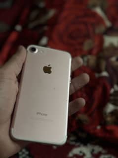 Iphone 7 pta approved