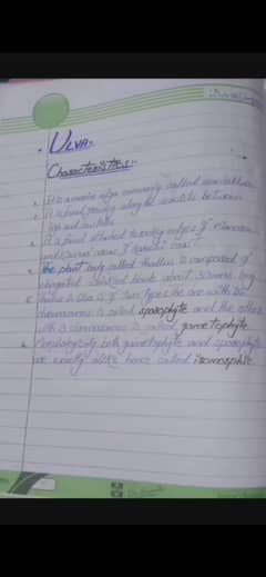 content writing