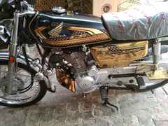 luch condition 2025 model