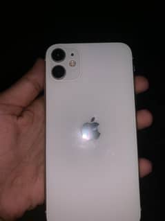 iphone 11 demanding white colour