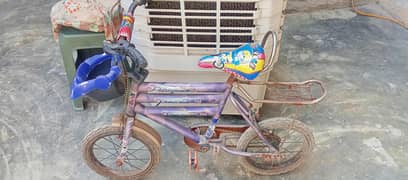Zaid Rajput