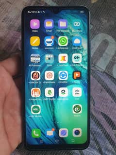 vivo