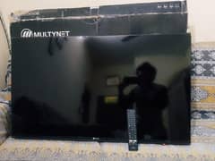 multynet