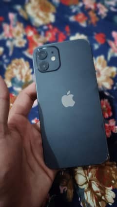 iPhone 12