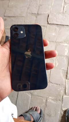 contact only Whatsapp  shakot road thothia khurd Chak 10