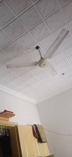 fan and cooler stand for sale just call 03160717508