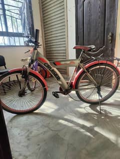 Cruiser Bicycle in good condition