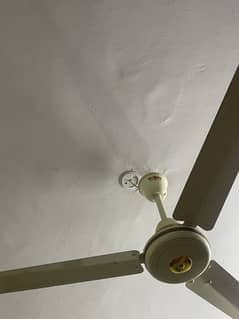 Fans for Sale