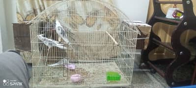 heavy steel cage