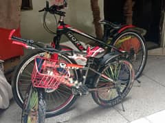 03 Bicycle for Sale