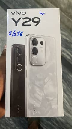Vivo y29 8/256 box pack
