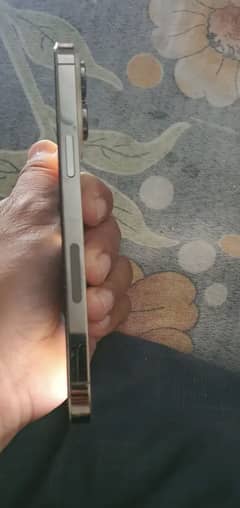 14 pro max