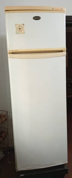 Imported Ocean Refrigerator