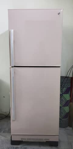 Pel Regrigerator