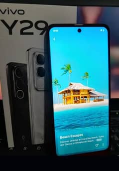 vivo