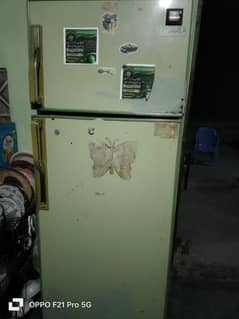 frig all oky full size hy urgent for syle