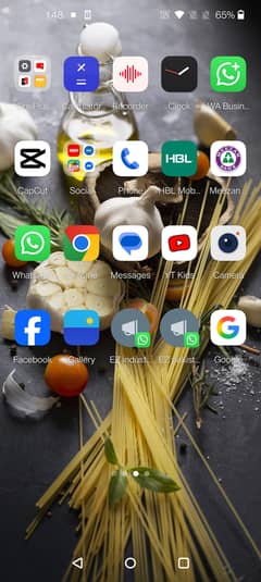 one plus 9 pro 5g