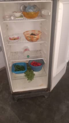 Alectrux fridge Midium size