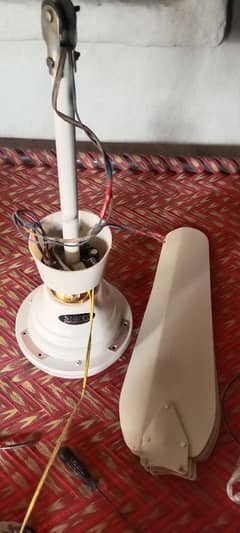 AC/DC Seiling fan starco company