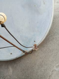 dish