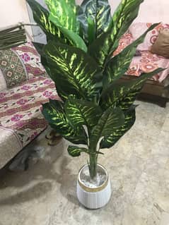 Artificial Plant