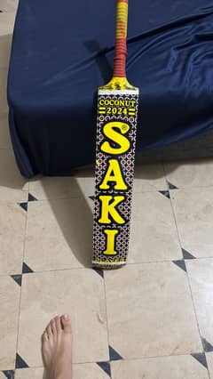 Sirilankan cocunut bat