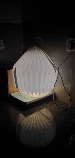 hard paper craft fanus