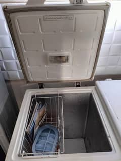 PEL Deep Freezer NEW
