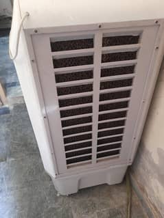1 year old cooler