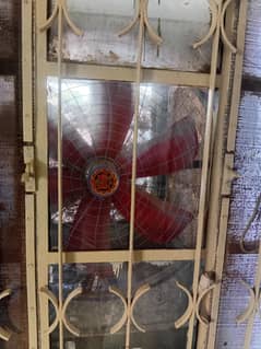 Room Cooler for Sale