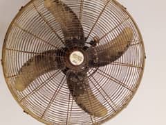 Fan for selling