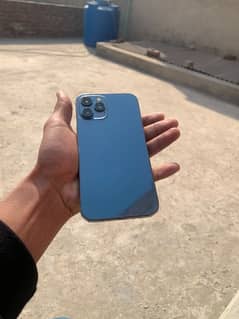 12pro