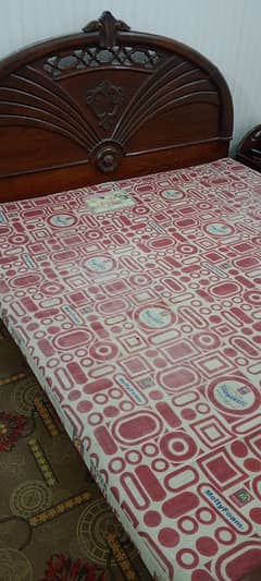Molty Foam Mattress 78x66