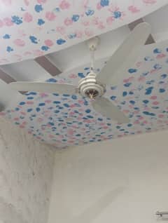 Ceiling fan for sale