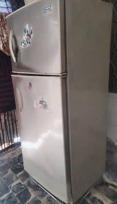 Haier Fridge
