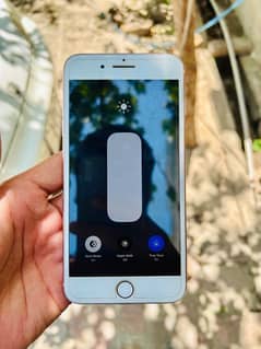 8 plus pta exchange passible