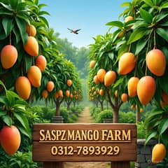 FRESH MANGOES