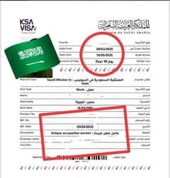 اب مناسب قیمت میں ورکنگ ویزا( working visa)حاصل کریں فل گارنٹی کے ساتھ