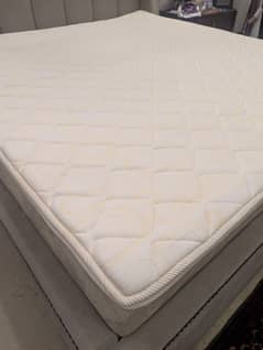 Molty Plus King Mattress 8 inch