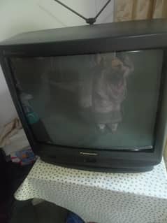 panasonic tv