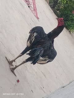 For sale