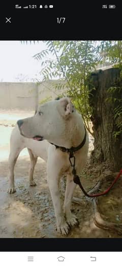 For sale