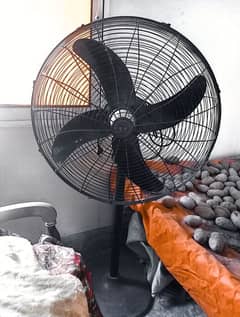 royal table fan