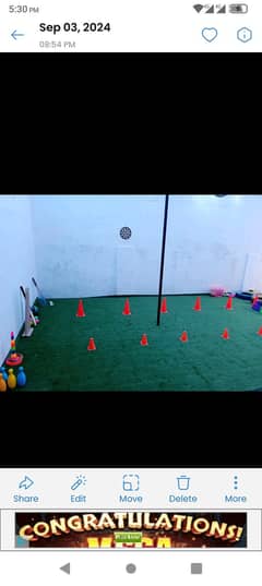 terpaal shade and green artificial grass